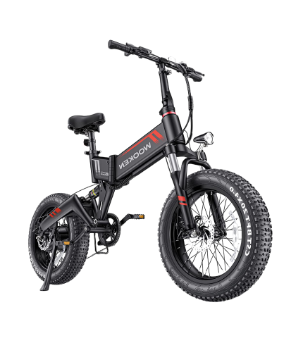 Wooken Electric Bike